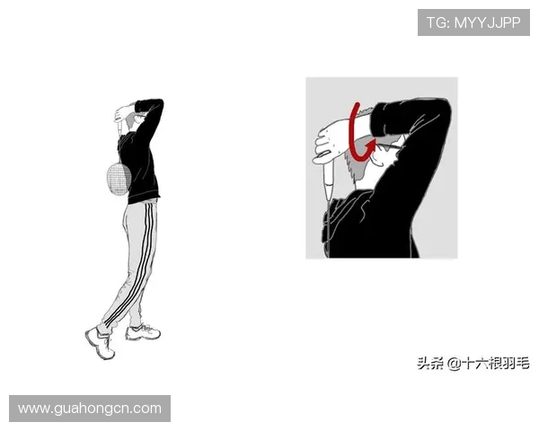 从零基础到高手之路羽毛球全面提升技巧与训练指南 从零基础到高手之路羽毛球全面提升技巧与训练指南