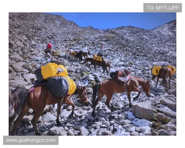 王强谈极限运动的挑战与成长分享他的冒险经历与心路历程