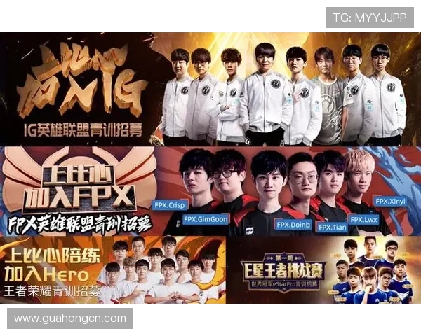 王者荣耀战队IG的团队配合分析与战术探讨 王者荣耀战队IG的团队配合分析与战术探讨