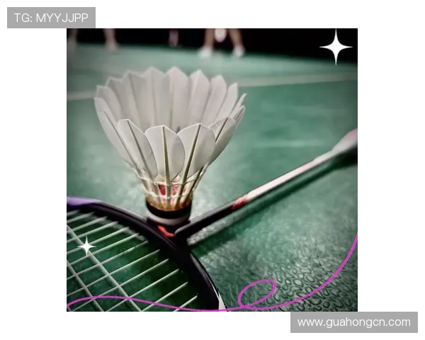 羽毛球装备选购指南：必备训练器材推荐与实用技巧分享