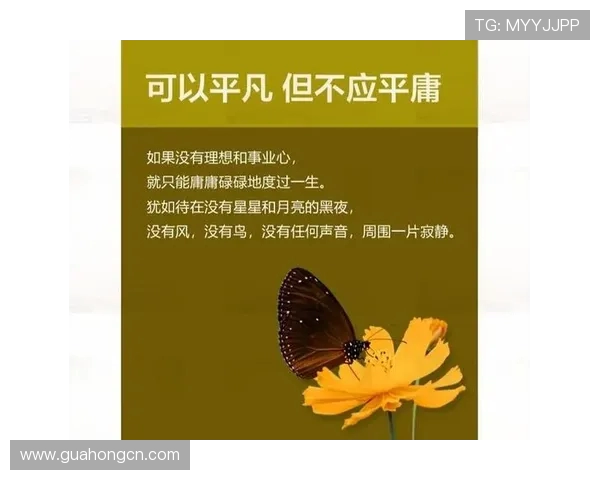 张帆的探索之旅：从梦想起航到实现人生价值的心路历程